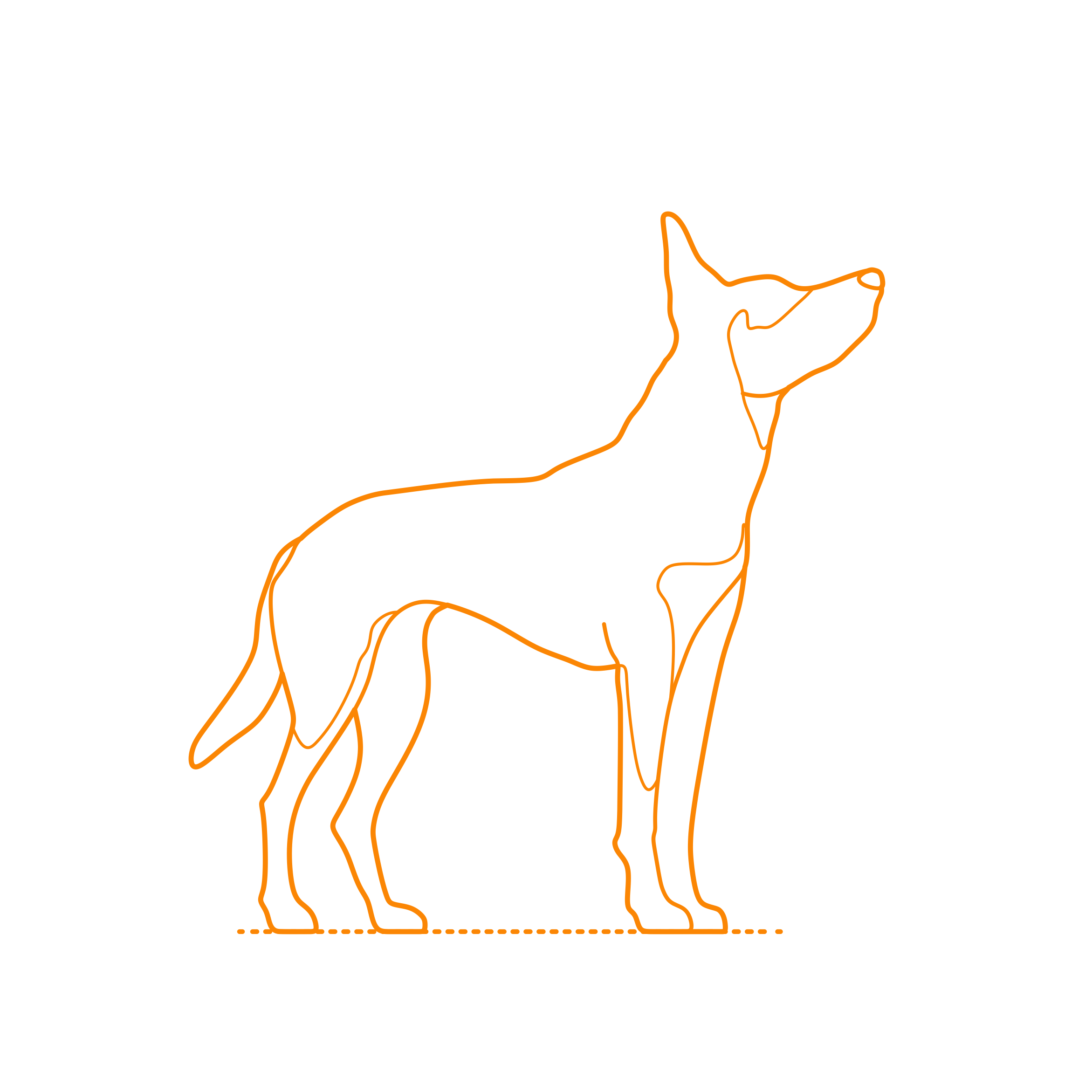 Animals Dogs Working Kelpie Svg Line Art Free Vectors